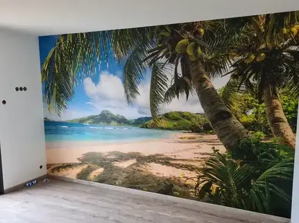 entreprise de peinture Chasnais-1
